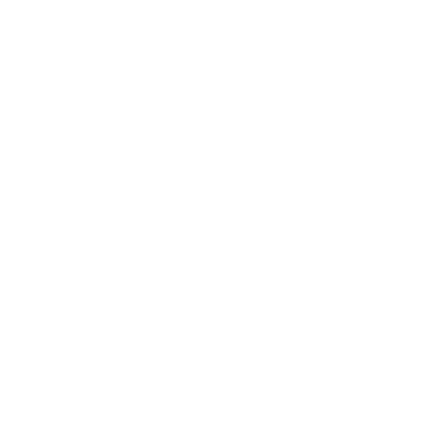 portfolio icon